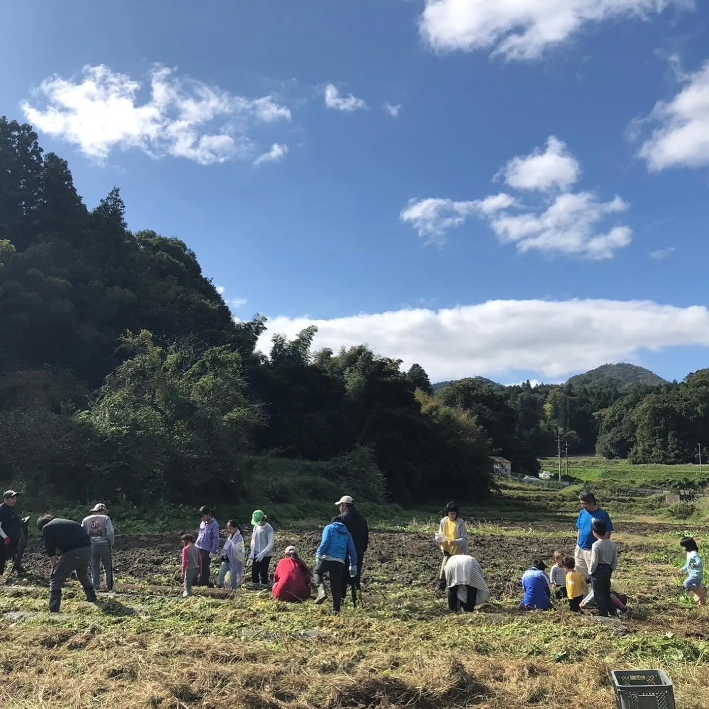 【親子さつまいも掘り体験へのご参加ありがとうございました！🍠...