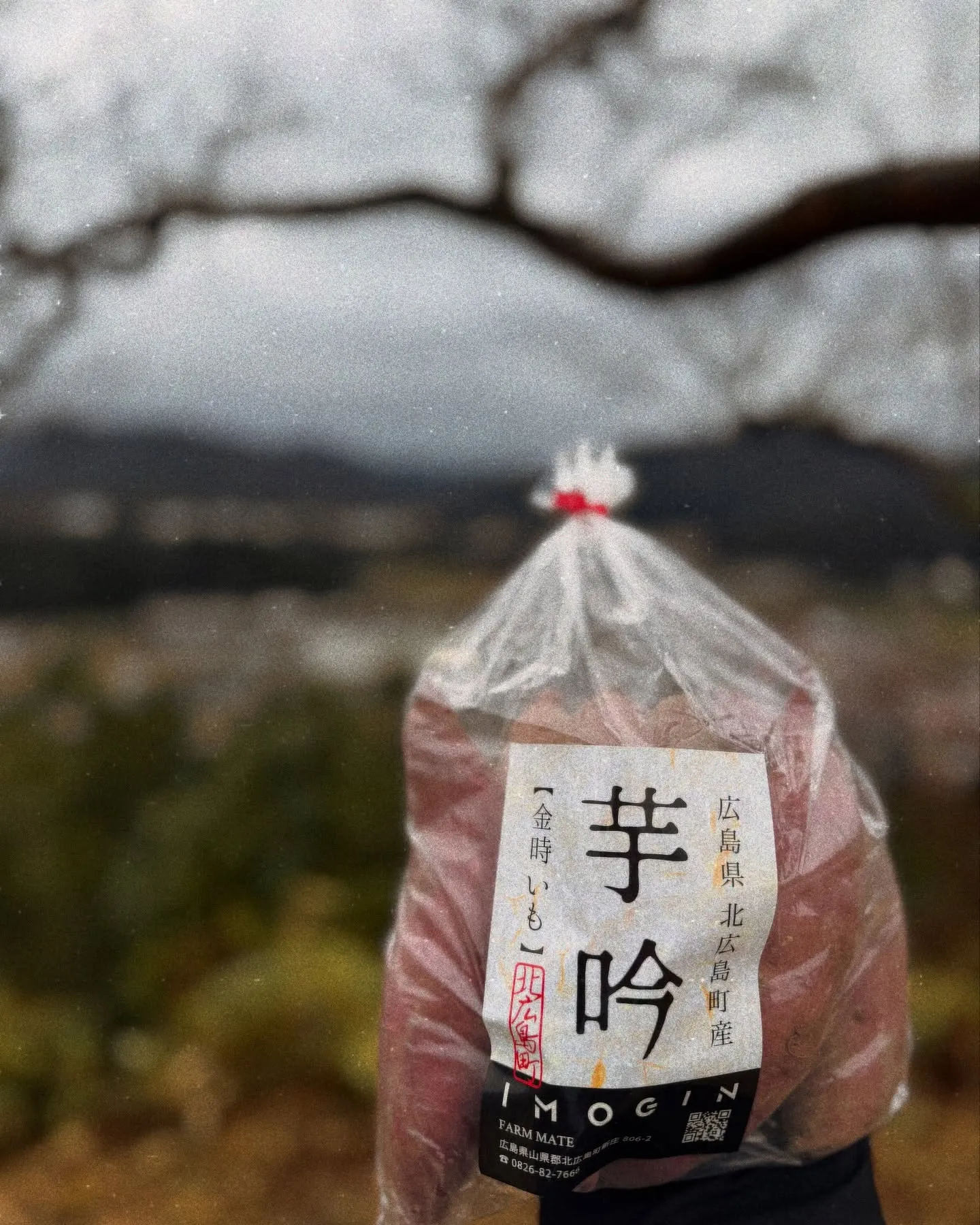 ＼甘さも食感も全然違う！？／