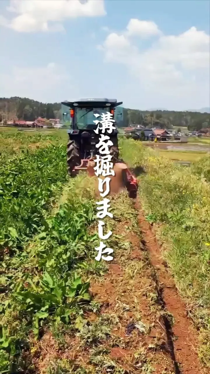 美味しいお芋を育てるため、土壌改良作業が始まりました！水捌け...